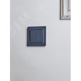 Переключатель IEK BRITE 2кл маренго