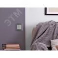 Выключатель INSPIRIA 673632 2кл с подсветкой 10АХ алюминий