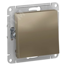 Переключатель AtlasDesign ATN000561 1кл, шампань, механизм