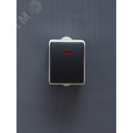 Выключатель IEK Форс 10А IP54 ВС20-1-1-ФСр сер. с подсветкой