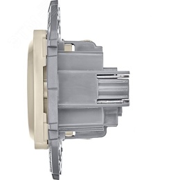 Розетка INSPIRIA 673721 2К 16А сл.кость с/з