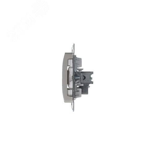 Розетка GLOSSA GSL001291 TV платина