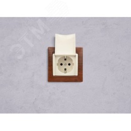 Legrand Valena 774322 Розетка 2к+3нем.ст. мех. сл.кость с крышкой