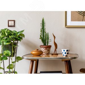 Legrand Valena 774305 выключатель 2кл сл.кость 