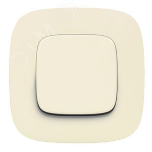 Legrand Valena-А 755006 клав. выкл сл.кость