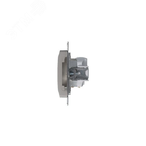 Розетка GLOSSA GSL001243 1-ая с/з платина