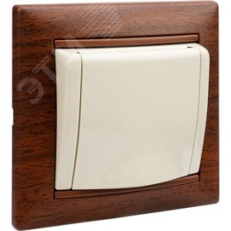 Legrand Valena 774322 Розетка 2к+3нем.ст. мех. сл.кость с крышкой