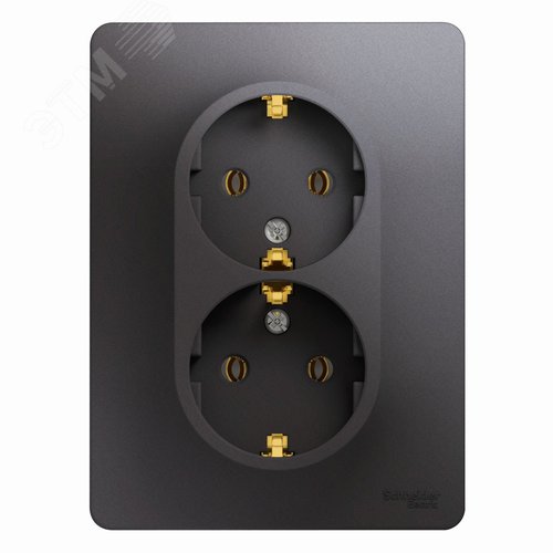 Розетка GLOSSA GSL001324 2 c/з  графит