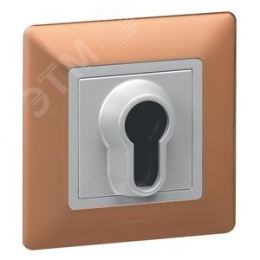 Legrand Valena-L 754161 рамка 1-пост медь