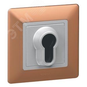 Legrand Valena-L 754161 рамка 1-пост медь