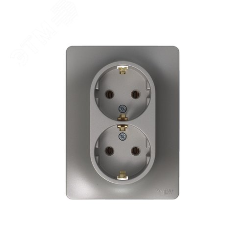 Розетка GLOSSA GSL001224 2-ая с/з платина