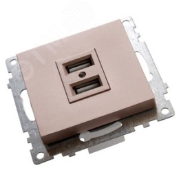 Розетка USB STEKKER GLS10-7115-02 2-местная шампань (механизм) серия КАТРИН