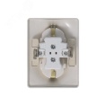 Розетка GLOSSA GSL001224 2-ая с/з платина