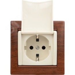 Legrand Valena 774322 Розетка 2к+3нем.ст. мех. сл.кость с крышкой