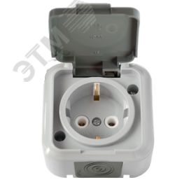 Розетка ПРАЛЕСКА-АКВА РА16-297(03) с з/к с крышкой IP44 (03) серая