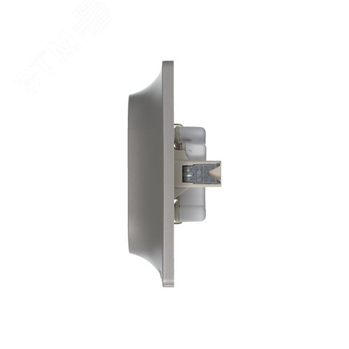 Розетка GLOSSA GSL001224 2-ая с/з платина