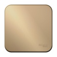 Переключатель BLANCA BLNVA106014 1кл, титан, наружный
