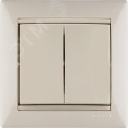 Legrand Valena 774305 выключатель 2кл сл.кость 